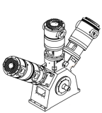 W-type